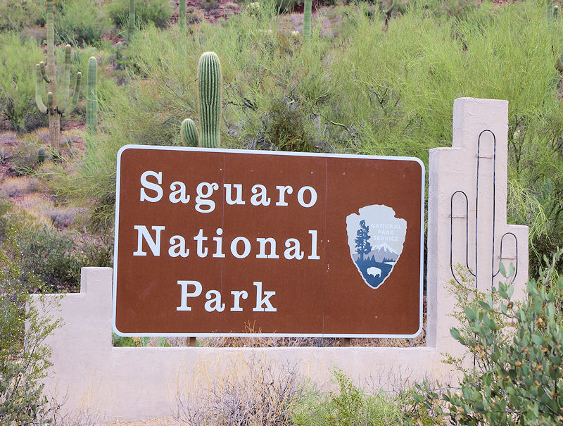 saguarowest.jpg